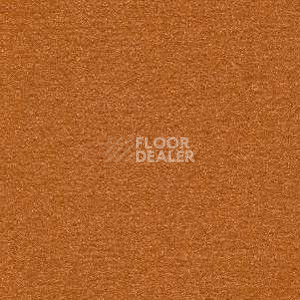 Ковролин Radici Nexus Ambra 2401 фото 1 | FLOORDEALER